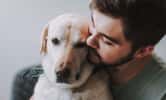 L'euthanasie est, paradoxalement, la dernière preuve d’amour que les maîtres peuvent offrir à leur compagnon. ©Yakobchuk Olena, Adobe Stock